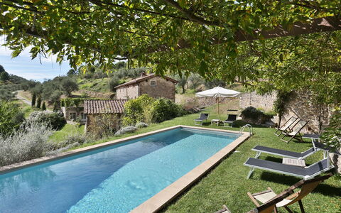 Chiodo: Piscine, Propriété, Arrière-Cour, Maison, Immobilier, Loisir, Bâtiment, Biens, Cour, Villa