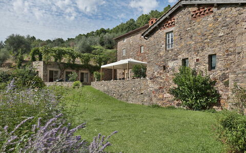 Chiodo: Propriété, Maison, Paysage Naturel, Chalet, Bâtiment, Herbe, Zone Rurale, Mur, Ferme, Famille Grass