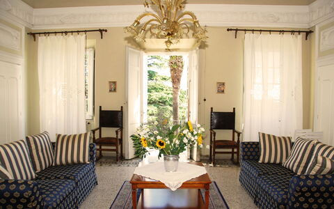 Fubbiano: Salon, Pièce, Design Intérieur, Meubles, Propriété, Bâtiment, Plafond, Jaune, Maison, Rideau