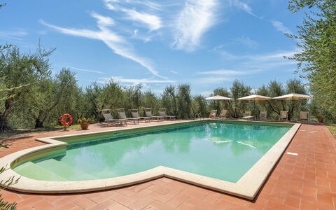 La Fonte: Jardin, Hacienda, Aménagement Paysager, Biens, Piscine, Cour, Villa, Recours, Eco Hôtel, Arrière-Cour