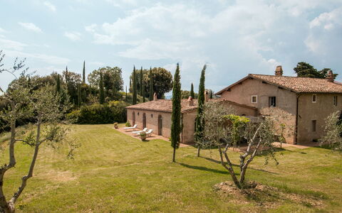 Lavacchio 12: Plante, Ciel, Nuage, Écorégion, Fenêtre, Arbre, Lot Terre, Bâtiment, Paysage Naturel, Herbe