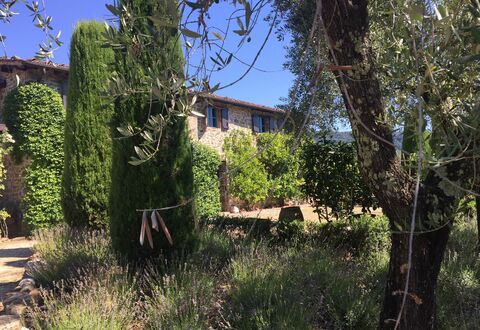 Macennere: Végétation, Propriété, Arbre, Maison, Ciel, Bâtiment, Arbuste, Famille Grass, Zone Rurale, Architecture