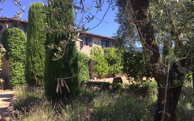 Macennere: Végétation, Propriété, Arbre, Maison, Ciel, Bâtiment, Arbuste, Famille Grass, Zone Rurale, Architecture