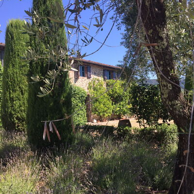 Macennere: Végétation, Propriété, Arbre, Maison, Ciel, Bâtiment, Arbuste, Famille Grass, Zone Rurale, Architecture