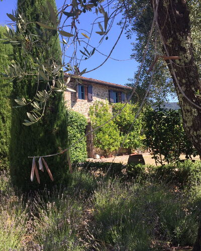 Macennere: Végétation, Propriété, Arbre, Maison, Ciel, Bâtiment, Arbuste, Famille Grass, Zone Rurale, Architecture