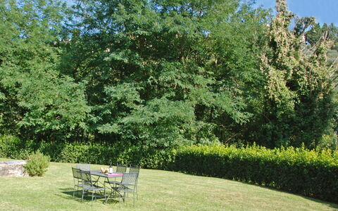 Magrini: Arbre, Jardin, Propriété, Paysage Naturel, Herbe, Arbuste, Plante, Suppression Des Plantes Ligneuses, Botanique, Pelouse