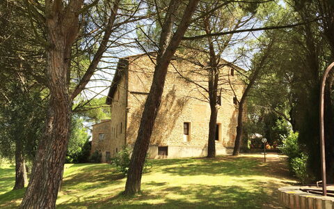 Malmantile: Arbre, Herbe, Suppression Des Plantes Ligneuses, Architecture, Lumière Du Soleil, Bâtiment, Plante, Printemps, Maison, Des Bois