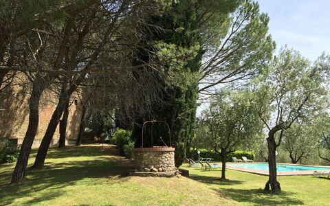 Malmantile: Arbre, La Nature, Paysage Naturel, Herbe, Environnement Naturel, Jour, Suppression Des Plantes Ligneuses, Ciel, Plante, Printemps