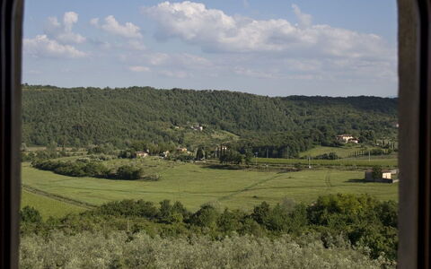 Ricavoli: Végétation, Fenêtre, Herbe, Communauté Des Plantes, Ciel, Famille Grass, Arbre, Plaine, Écorégion, Zone Rurale