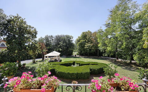 Villa Clara 20: Jardin, Propriété, Jardin Botanique, Botanique, Immobilier, Biens, Plante, Arbre, Cour, Fleur
