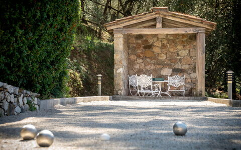 Villa Igea 13: Plante, La Nature, Bois, Arbre, Herbe, Surface De La Route, Lumière Du Soleil, Biome, Tronc, Espace Public