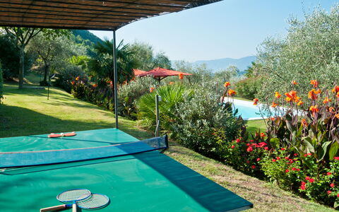 Villa Igea 13: L'Eau, Plante, Fleur, Propriété, Ciel, La Nature, Vert, Bleu Azur, Piscine, Bâtiment