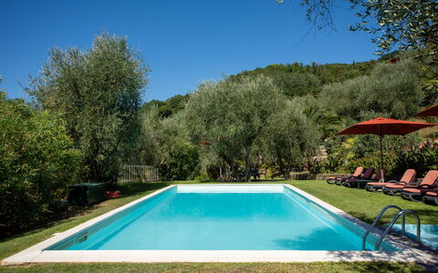 Villa Igea 13: L'Eau, Ciel, Plante, Propriété, Piscine, Ombre, Arbre, Paysage Naturel, Rectangle, Paysage