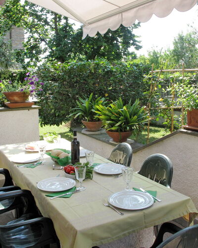 Mia: Propriété, Immobilier, Plante D'Appartement, Maison, Pièce, Bâtiment, Botanique, Table, Arbre, Domicile