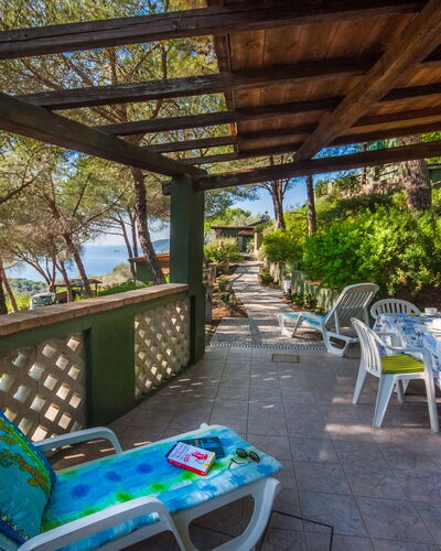 Capoliveri 674: Table, Meubles, Plante, Propriété, Bleu, Bleu Azur, Mobilier De Jardin, Ombre, Arbre, Design Intérieur