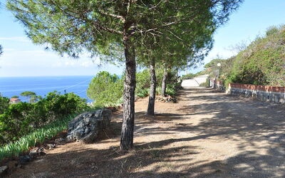 Logement:&nbsp;Panorama i 676.2
