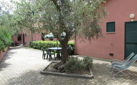 Logement:&nbsp;Elbamar Lacona 1 615.4