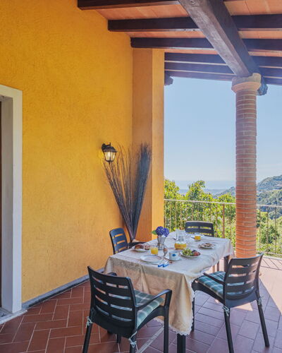 Luca: Meubles, Table, Propriété, Ciel, Chaise, Pot De Fleur, Plante, Bleu Azur, Bois, Ombre