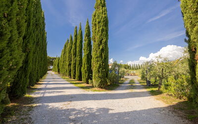 Logement:&nbsp;Podere Tre Termini 609.6