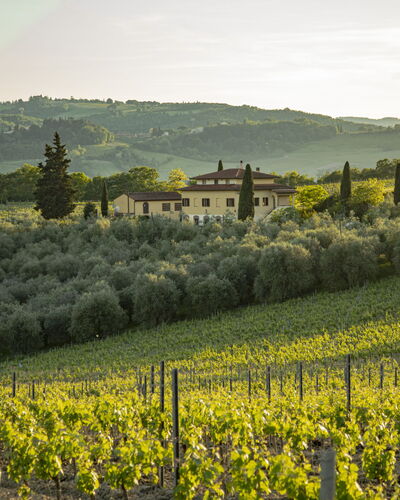 Podere San Michele: Plante, Ombre, Mobilier De Jardin, Arbre, Architecture, Immobilier, Loisir, Confort, Balancelle, Teintes Et Ombres