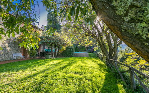 Belvedere: Plante, Paysage Naturel, Branche, Arbre, Ombre, Herbe, Couverture De Sol, Loisir, Tronc