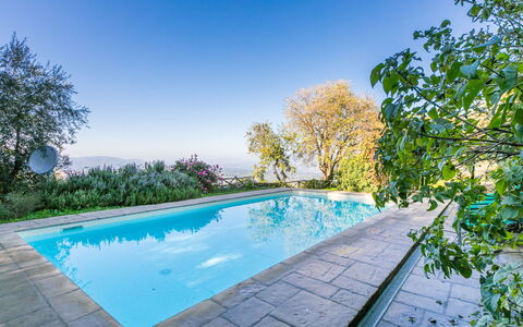 Belvedere: L'Eau, Ciel, Plante, Piscine, Bleu Azur, Arbre, Plan D'Eau, Paysage Naturel, Herbe, Loisir