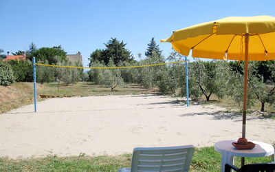 Cecina 613