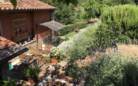 Villa Fusai: Propriété, Cour, Toit, Maison, Biome, Paysage, Jardin, Bâtiment, Herbe, Arrière-Cour