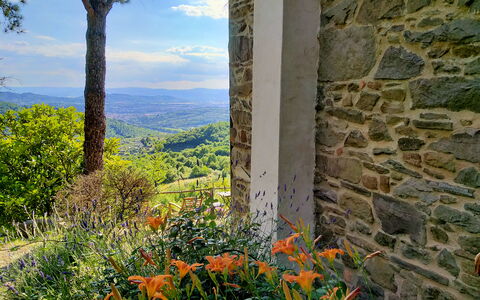 Villa Fusai: La Nature, Végétation, Fleur, Plante, Arbre, Feuille, Mur, Wildflower, Herbe, Botanique