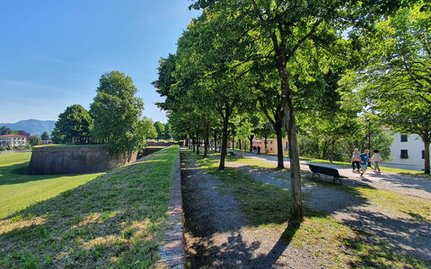 Sinidio: Arbre, Herbe, La Nature, Printemps, Pelouse, Parc, Aménagement Paysager, Passerelle, Chemin