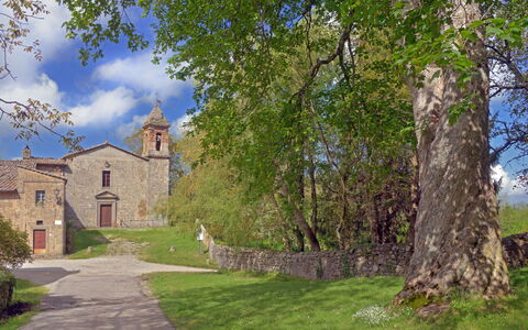 Casa Di Lilli: Herbe, Paysage, Prairie, Zone Rurale, Prairie, Pâturage, Château, Monastère