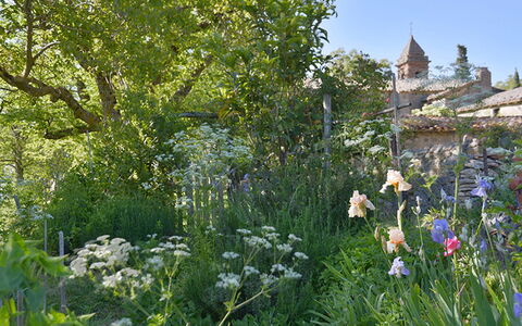Casa Di Giulio: Fleur, Végétation, Arbuste, Jardin, Communauté Des Plantes, Printemps, Couverture De Sol, Wildflower, Plante Herbacée, Aménagement Paysager