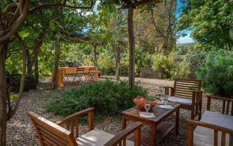 Casa Di Giulio: Meubles, Arbuste, Mobilier De Jardin, Jardin, Communauté Des Plantes, Ombre, Tableau De Plein Air, Printemps, Couverture De Sol