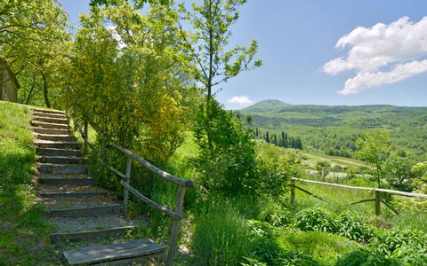 Casa Dell'ambasciatore: Vert, La Nature, Environnement Naturel, Paysage Naturel, Montagnes Relief, Végétation, Colline, Arbuste, Été, Paysage