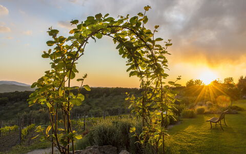 Sequerciani: La Nature, Arbre, Ciel, Paysage Naturel, Matin, Biome, Plante, Lumière Du Soleil, Paysage, Cambre