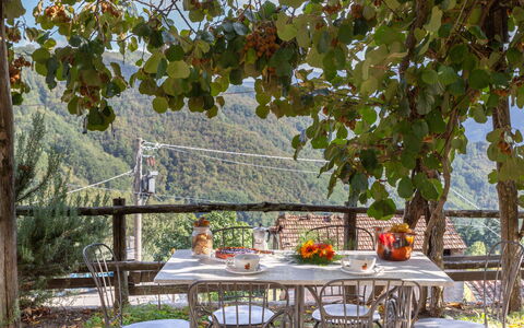 Casa Alice: Arbre, Table, Feuille, Loisir, Meubles, Vacances, Maison, Immobilier, Repas, Plante