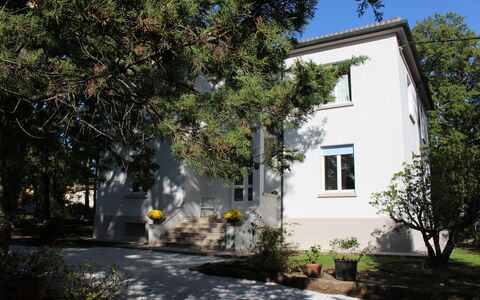 Villa La Casa Bianca: Propriété, Maison, Domicile, Bâtiment, Immobilier, Arbre, Zone Résidentielle, Quartier, Architecture, Biens