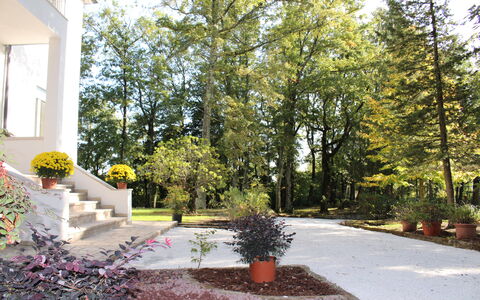 Villa La Casa Bianca: Propriété, Domicile, Arbre, Maison, Immobilier, Cour, Zone Résidentielle, Aménagement Paysager, Jardin, Paysage