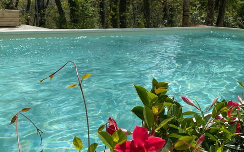 Villa La Casa Bianca: L'Eau, Fleur, Plante, Communauté Des Plantes, Vert, Paysage Naturel, Terrestre Des Plantes, Végétation, Pétale, Cours D'Eau