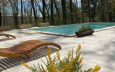 Villa La Casa Bianca: Fleur, Plante, Ciel, Feuille, Paysage Naturel, Végétation, Arbre, Jaune, Herbe, Suppression Des Plantes Ligneuses