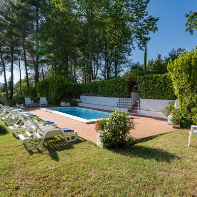 Villa Campiglia: Propriété, Maison, Immobilier, Domicile, Biens, Chalet, Bâtiment, Piscine, Arrière-Cour, Herbe