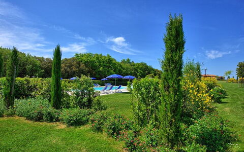 La Rimessa: Paysage Naturel, La Nature, Vert, Ciel, Végétation, Arbre, Propriété, Lot Terre, Jardin, Environnement Naturel