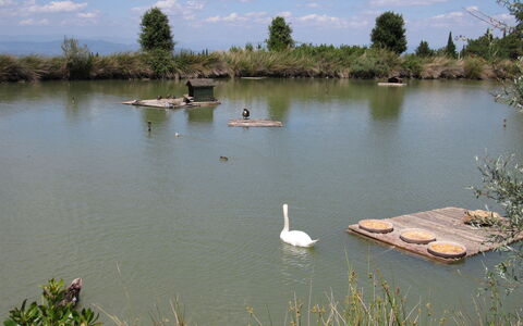 La Rimessa: Plan D'Eau, Ressources En Eau, Paysage Naturel, L'Eau, Étang, Banque, Réservoir, Réserve Naturelle, Lac