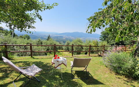 La Casa Del Sole: Plante, Ciel, Communauté Des Plantes, Feuille, Paysage Naturel, Arbre, Chaise, Mobilier De Jardin, Lot Terre, Ombre
