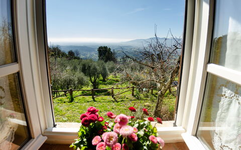 La Casa Del Sole: Propriété, Pièce, Fenêtre, Maison, Domicile, Fleur, Bâtiment, Plante, Design Intérieur, Immobilier