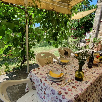 La Casa Del Sole: Plante, Propriété, Table, Botanique, La Nature, Fleur, Paysage, Chaise, Mobilier De Jardin, Terrestre Des Plantes