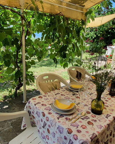 La Casa Del Sole: Plante, Propriété, Table, Botanique, La Nature, Fleur, Paysage, Chaise, Mobilier De Jardin, Terrestre Des Plantes