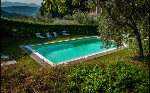 Orto Degli Olivi Proprietà: Piscine, Propriété, Paysage Naturel, Herbe, L'Eau, Loisir, Maison, Arbre, Villa, Architecture