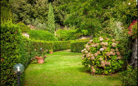 Orto Degli Olivi Proprietà: Jardin, La Nature, Pelouse, Arbre, Végétation, Vert, Herbe, Arbuste, Paysage Naturel, Plante