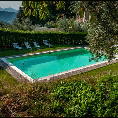 Orto Degli Olivi Proprietà: Piscine, Propriété, Paysage Naturel, Herbe, L'Eau, Loisir, Maison, Arbre, Villa, Architecture